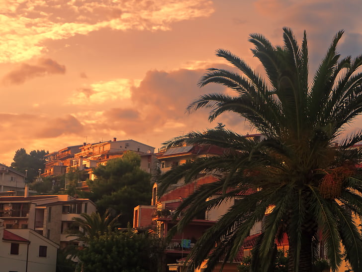 Kroatien, Riviera von Makarska, Sonnenuntergang, Sommer, Meer, Urlaub, Palma