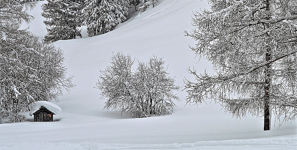 Príroda, Príroda, sneh, zimy, Mountain, strom, pole