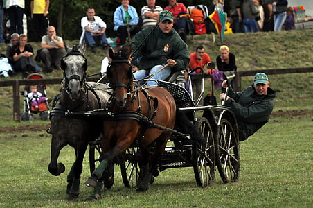 mengemudi di, kecepatan, kuda, Gallop, hewan, tradisi, Hongaria