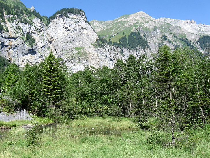 Mountain, Alperna, landskap