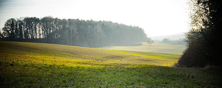 kraštovaizdžio, žalia, pieva, medžiai, miško, saulėta, rudenį