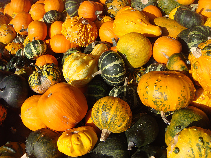 buče, zelenjave, oranžna, ne, rumena, sadje, Halloween