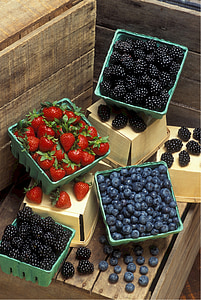 плодове, ягоди, къпини, боровинки, здрави, Сладко, пресни