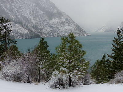 invierno, tormenta, cubierto de nieve, paisaje, Lago Seton, columbia británica, Canadá
