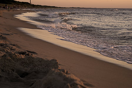 beach, shoreline, water, sea, sand, wet sand, tide