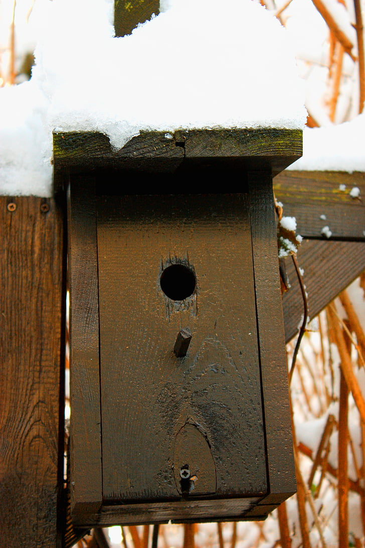 aviary, snow, winter, cold, bird, shelter, bird feeder