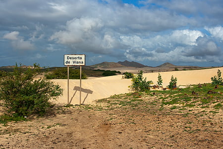 Deserto de peruviana –, Pustynia, piasek, Boa vista, Wyspy Zielonego Przylądka, Wyspy Zielonego Przylądka, samotny