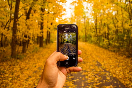 Stäng, Foto, person, Holding, svart, iPhone, hösten