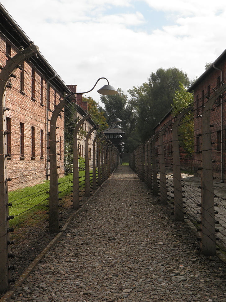 Auschwitz, fil de fer barbelé, séparation