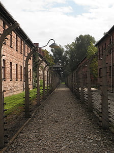 Auschwitz, arame farpado, separação
