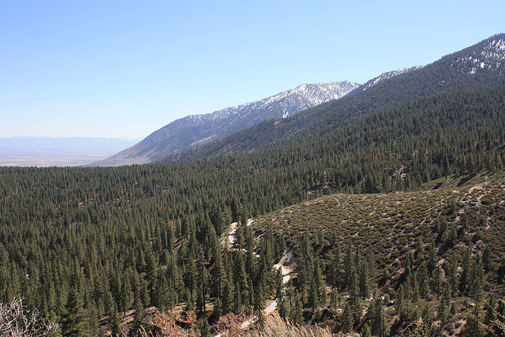 hegyek, erdő, természet, Nevada, táj, kültéri, nézet