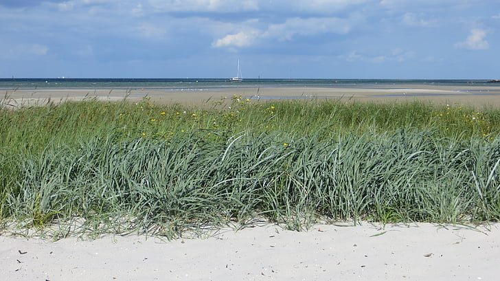 αμμόλοφος, Βαλτική θάλασσα, στη θάλασσα, Ενοικιαζόμενα, διακοπές, ανάκτηση, παραλία