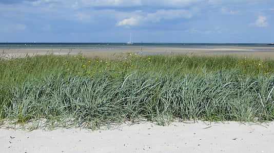 dune, mer Baltique, mer, vacances, jours fériés, récupération, plage