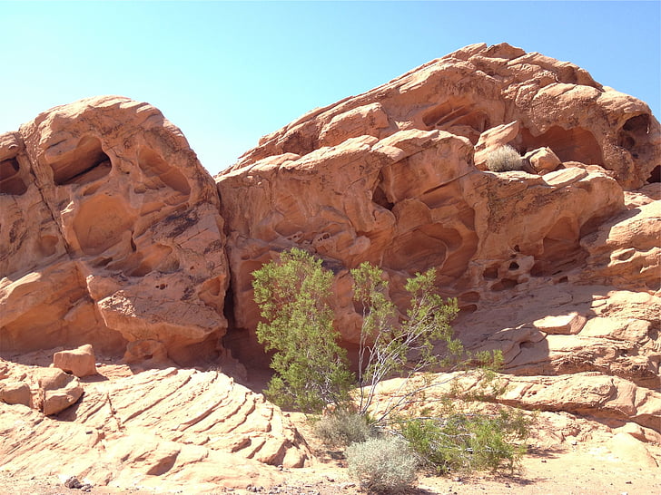rock, formation, green, shrub, shown, daytime, rocks