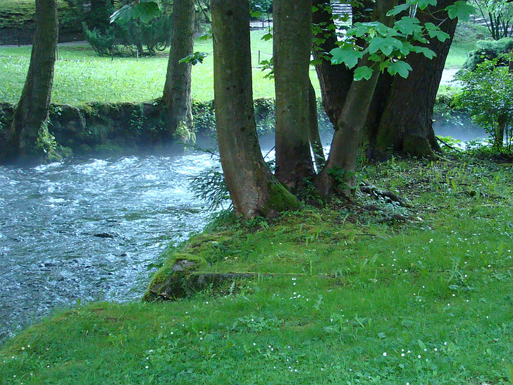 printemps, flux de données, ruisseau, Brook, nature, tranquil, Forest