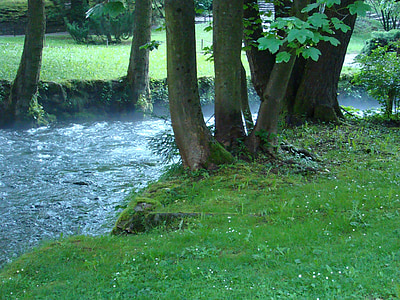 proljeće, tok, potok, potok, priroda, mirnom, šuma
