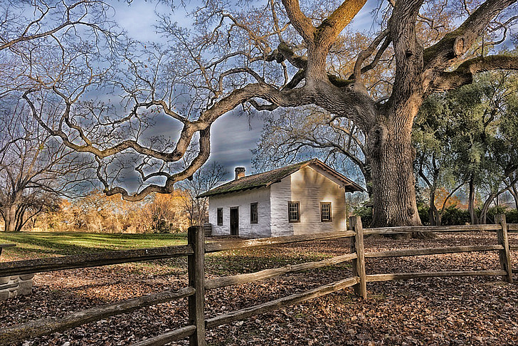 Red bluff, Californie, maison, Page d’accueil, Adobe, arbres, HDR
