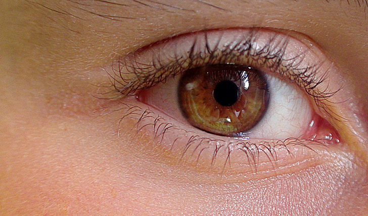 akių, Anatomija,, Statyba žmogaus, akių vokų, blakstienos, Żrenica, akių spalva