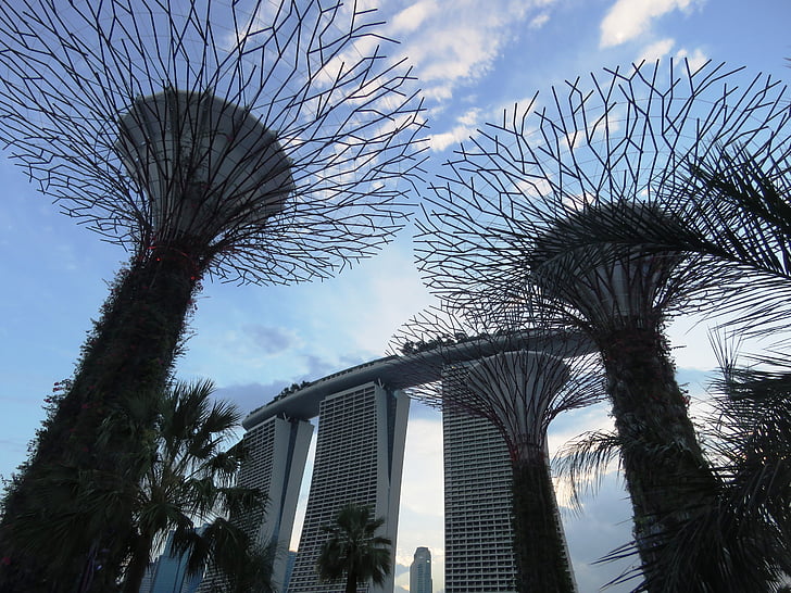 Marina bay, trädgård i viken, Singapore, byggnad, trädgård, turist plats