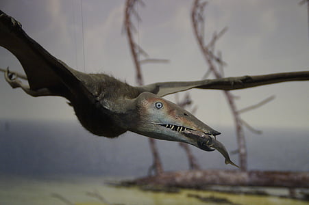 pterosaur, Memancing, mangsa, Makan, zaman prasejarah, dinosaurus, terbang