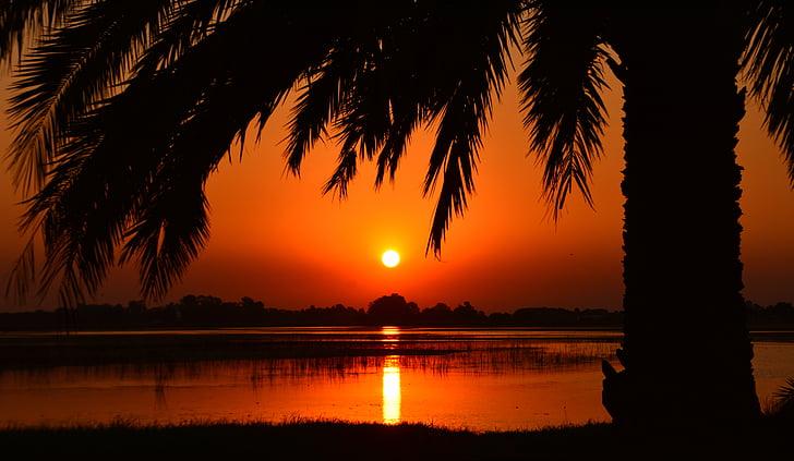 sunset, palm tree, laguna, landscape, reflection, tree, travel destinations