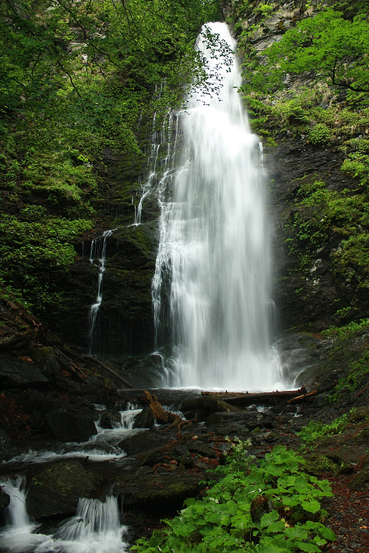 Cachoeira, Stara planina, montanha, karlovsko praskalo, cabana do Levski, Rio, cascata