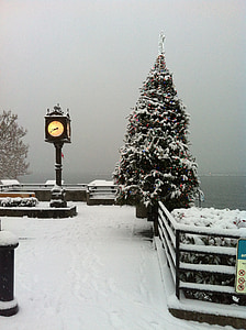 nieve, invierno, árbol, escena