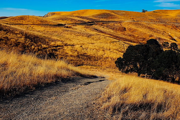 california, landscape, hills, mountains, nature, outdoors, golden