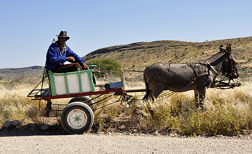 Африка, Намибия, Бауер, вагон, магаре, Селско стопанство, кон