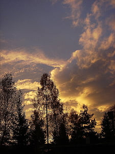nuvens, cenário, oeste, sol, árvore
