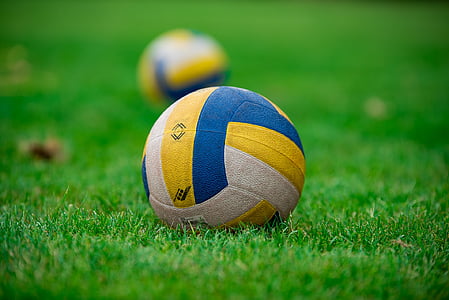 volleyball, ball, sport, grass, play, equipment