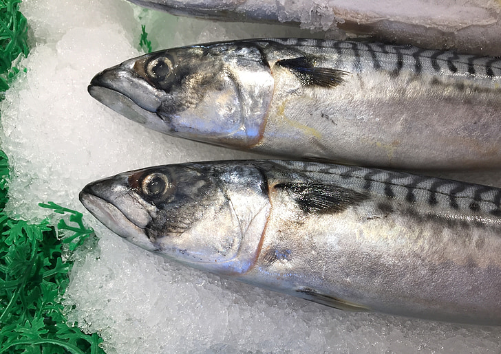 forele, Seattle, zivju tirgus