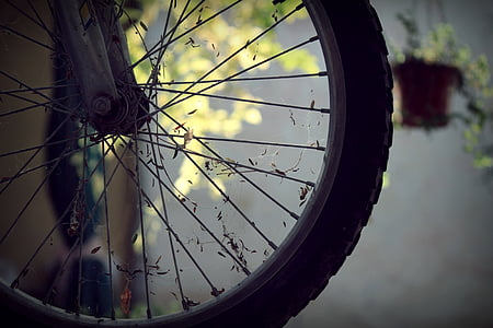 자전거, 자전거, 휠, 광선, 바퀴