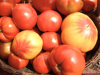 arvestykke tomater, rød, gul, hage, arvestykke, tomat, mat