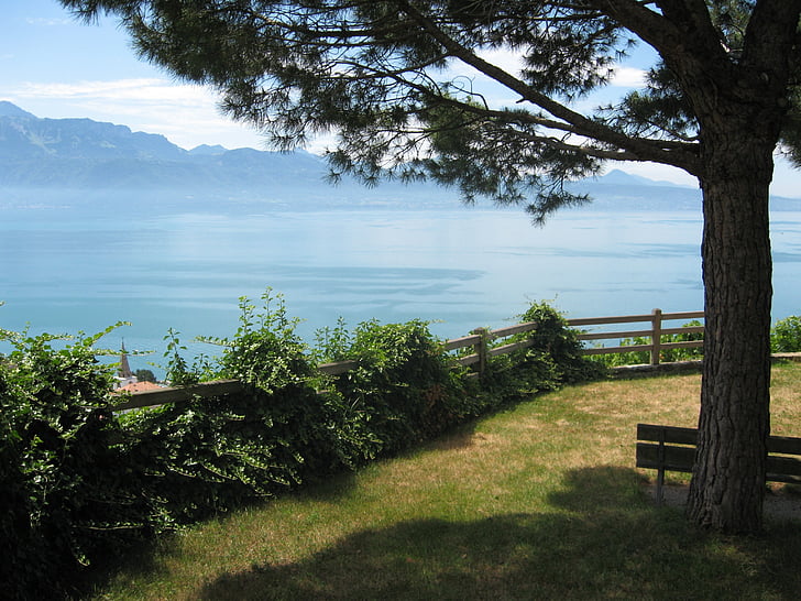 regiji Lavaux, Ženevsko jezero, venec