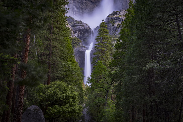waterfalls, middle, green, tree, forest, waterfall, evergreen