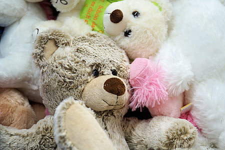 곰, 동물 인형된, 테 디 베어, 장난감, 재미, 곰, 귀여운