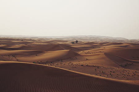 désert, dunes, Hazy, paysage, nature, Patterns, sable