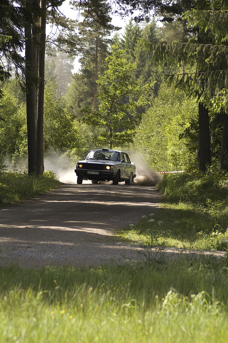 rally, forest, driving, car, gravel