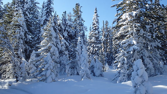 talvi, LeAnn, Topi Kokkila, kylmä, Frost, lumi, Siperia