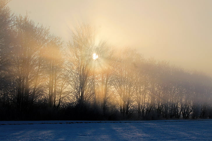 sunrise, landscape, winter, foggy, sunbeam, morgenstimmung, fog