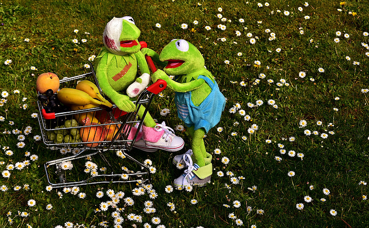 ir de compras, fruta, saludable, Kermit, rana, carrito de compras, vitaminas