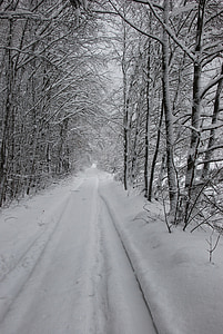 snow, snow tracks, tire tracks, away, snowy, winter mood, traces