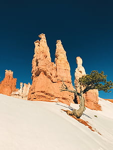 beige, rock, formations, tree, sand, rock - object, desert