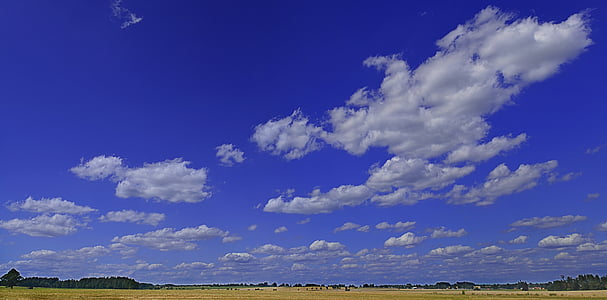 ég, Sky, felhők, kék, táj, a mező