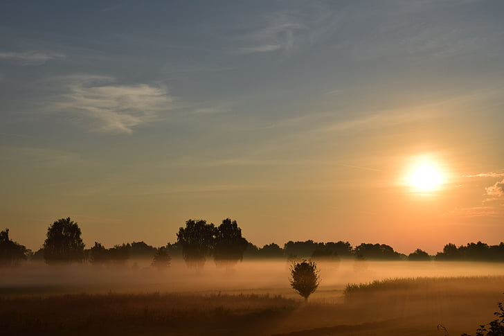 lever du soleil, brume matinale, Haze, Dim, brouillard, arbres, paysage