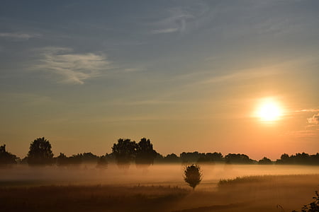 Восход, Утренний туман, дымка, Солнце, туман, деревья, пейзаж