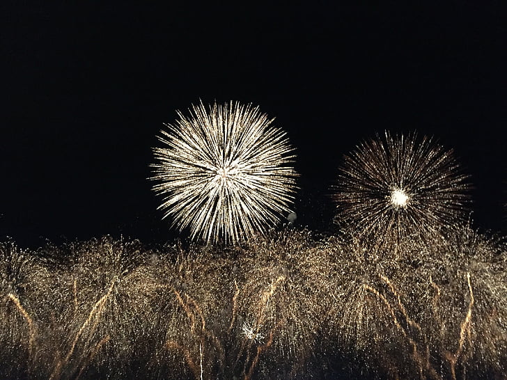 focs artificials, explosió, nou, l'any, Eva, celebració, festiu