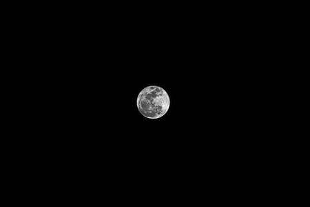 měsíc Super, 2016, obloha, plná, astrologie, astronomie, noční