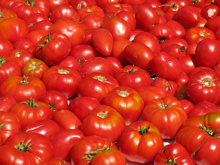 paradajky, zelenina, jedlo, červená, plodín, zdravé, rastlín